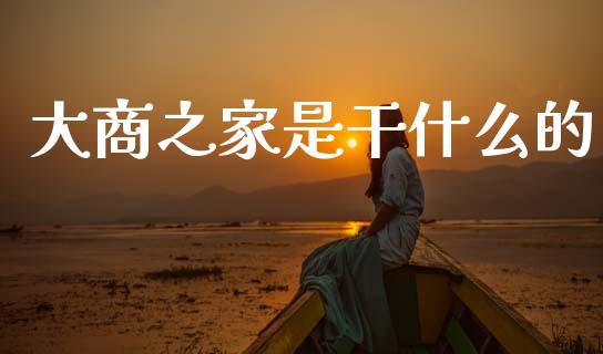 大商之家是干什么的_https://wap.hpmsj.cn_财经时评_第1张