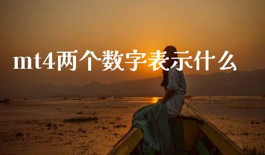 mt4两个数字表示什么_https://wap.hpmsj.cn_金融机构_第1张