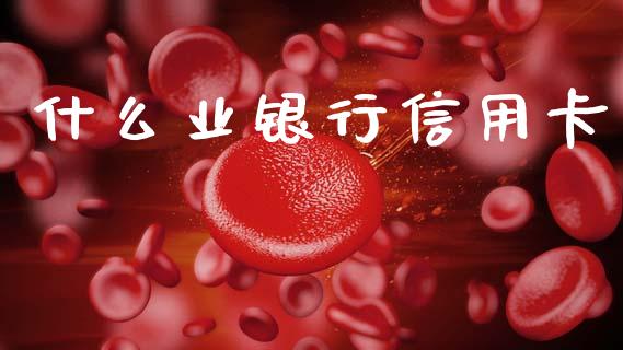 什么业银行信用卡_https://wap.hpmsj.cn_财经时评_第1张