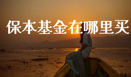 保本基金在哪里买_https://wap.hpmsj.cn_外汇汇率_第1张