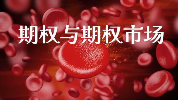 期权与期权市场_https://wap.hpmsj.cn_财经时评_第1张