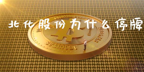 北化股份为什么停牌_https://wap.hpmsj.cn_基金分析_第1张