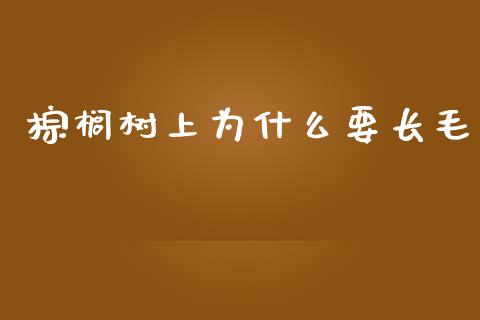 棕榈树上为什么要长毛_https://wap.hpmsj.cn_外汇汇率_第1张
