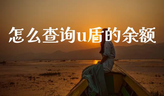 怎么查询u盾的余额_https://wap.hpmsj.cn_金融机构_第1张