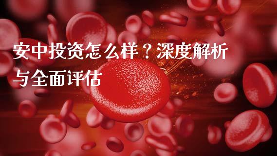 安中投资怎么样？深度解析与全面评估_https://wap.hpmsj.cn_基金分析_第1张