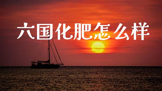 六国化肥怎么样_https://wap.hpmsj.cn_债券投资_第1张