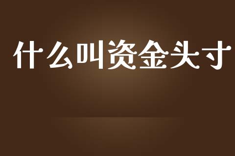 什么叫资金头寸_https://wap.hpmsj.cn_金融机构_第1张
