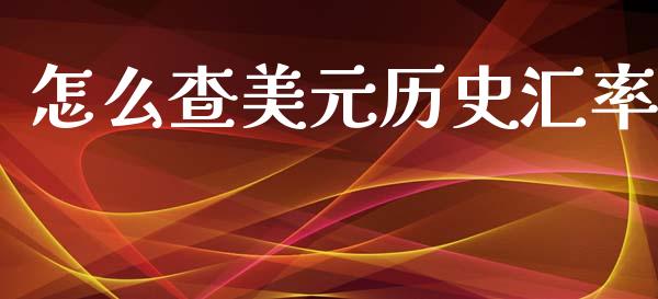 怎么查美元历史汇率_https://wap.hpmsj.cn_基金分析_第1张