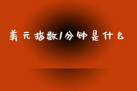 美元指数1分钟是什么_https://wap.hpmsj.cn_金融机构_第1张