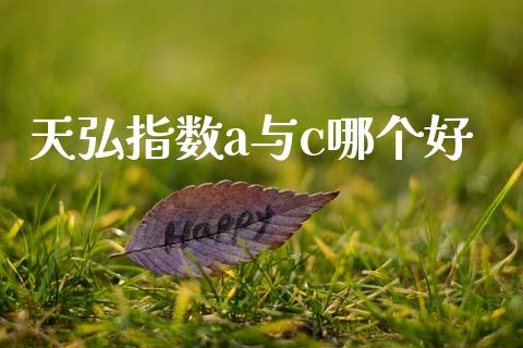 天弘指数a与c哪个好_https://wap.hpmsj.cn_外汇汇率_第1张