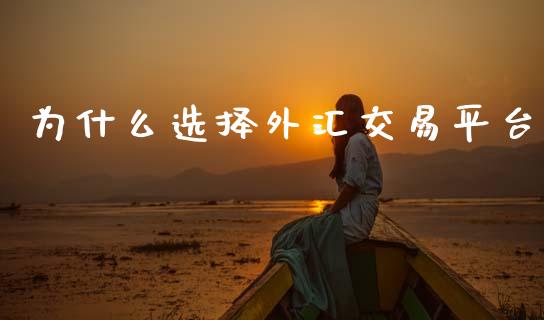 为什么选择外汇交易平台_https://wap.hpmsj.cn_外汇汇率_第1张