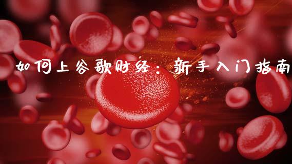 如何上谷歌财经：新手入门指南_https://wap.hpmsj.cn_财经时评_第1张