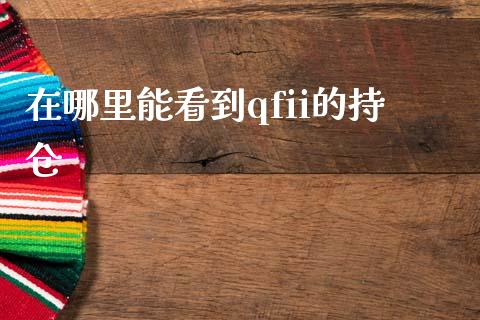 在哪里能看到qfii的持仓_https://wap.hpmsj.cn_外汇汇率_第1张