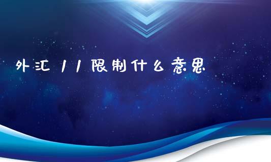 外汇 1 1 限制什么意思_https://wap.hpmsj.cn_金融机构_第1张