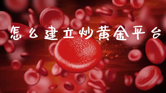 怎么建立炒黄金平台_https://wap.hpmsj.cn_外汇汇率_第1张