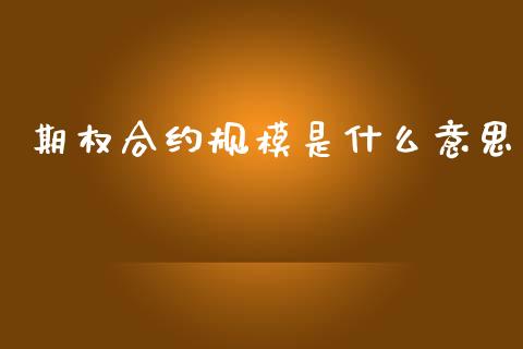 期权合约规模是什么意思_https://wap.hpmsj.cn_债券投资_第1张