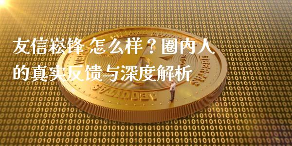 友信崧锋 怎么样？圈内人的真实反馈与深度解析_https://wap.hpmsj.cn_债券投资_第1张