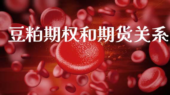 豆粕期权和期货关系_https://wap.hpmsj.cn_基金分析_第1张