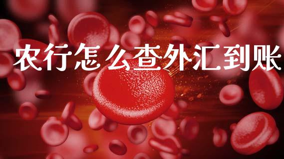 农行怎么查外汇到账_https://wap.hpmsj.cn_财经时评_第1张