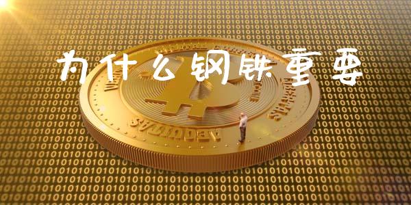 为什么钢铁重要_https://wap.hpmsj.cn_期货交易_第1张
