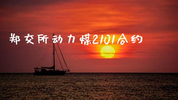 郑交所动力煤2101合约_https://wap.hpmsj.cn_基金分析_第1张