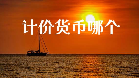 计价货币哪个_https://wap.hpmsj.cn_财经时评_第1张