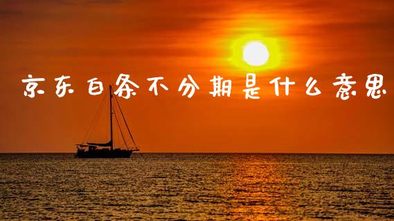 京东白条不分期是什么意思_https://wap.hpmsj.cn_财经时评_第1张