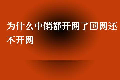 为什么中销都开网了国网还不开网_https://wap.hpmsj.cn_金融机构_第1张