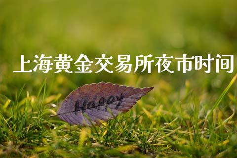 上海黄金交易所夜市时间_https://wap.hpmsj.cn_金融机构_第1张