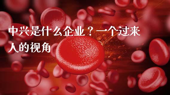 中兴是什么企业？一个过来人的视角_https://wap.hpmsj.cn_金融机构_第1张