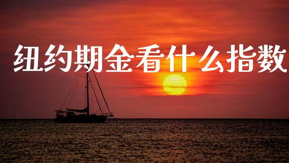 纽约期金看什么指数_https://wap.hpmsj.cn_外汇汇率_第1张