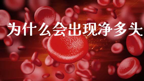 为什么会出现净多头_https://wap.hpmsj.cn_基金分析_第1张
