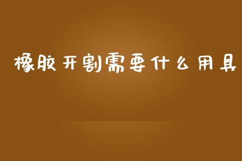橡胶开割需要什么用具_https://wap.hpmsj.cn_财经时评_第1张