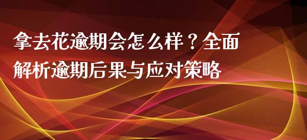 拿去花逾期会怎么样？全面解析逾期后果与应对策略_https://wap.hpmsj.cn_外汇汇率_第1张