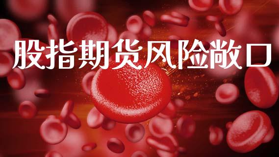 股指期货风险敞口_https://wap.hpmsj.cn_外汇汇率_第1张