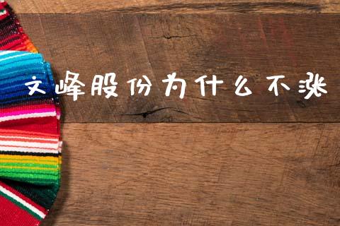 文峰股份为什么不涨_https://wap.hpmsj.cn_财经时评_第1张