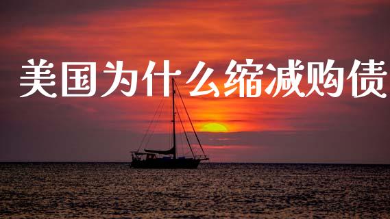 美国为什么缩减购债_https://wap.hpmsj.cn_债券投资_第1张