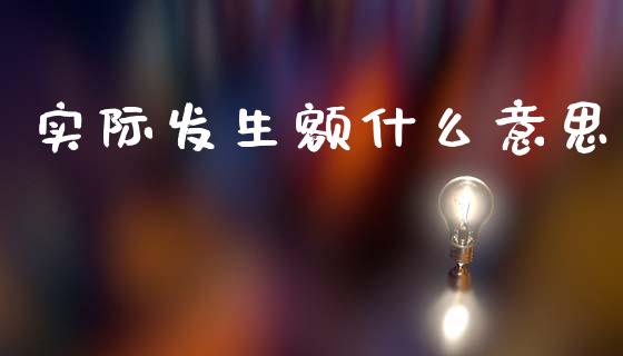 实际发生额什么意思_https://wap.hpmsj.cn_债券投资_第1张