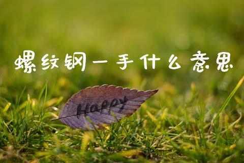 螺纹钢一手什么意思_https://wap.hpmsj.cn_财经时评_第1张
