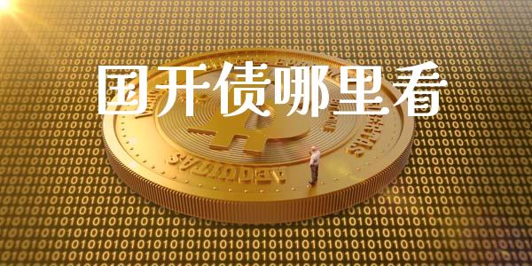 国开债哪里看_https://wap.hpmsj.cn_外汇汇率_第1张