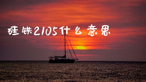 硅铁2105什么意思_https://wap.hpmsj.cn_期货交易_第1张