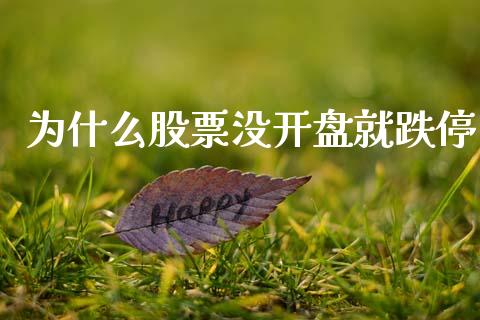 为什么股票没开盘就跌停_https://wap.hpmsj.cn_金融机构_第1张