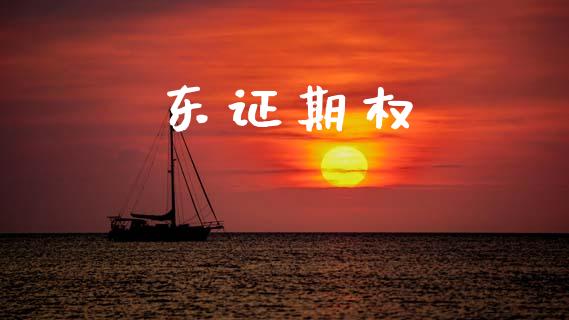 东证期权_https://wap.hpmsj.cn_金融机构_第1张