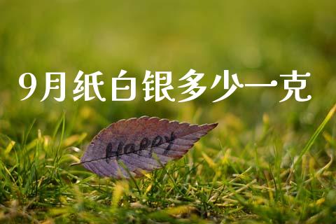 9月纸白银多少一克_https://wap.hpmsj.cn_金融机构_第1张