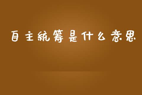 自主统筹是什么意思_https://wap.hpmsj.cn_外汇汇率_第1张