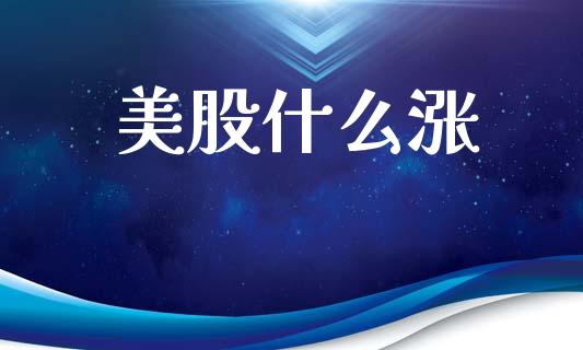 美股什么涨_https://wap.hpmsj.cn_债券投资_第1张