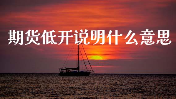期货低开说明什么意思_https://wap.hpmsj.cn_期货交易_第1张