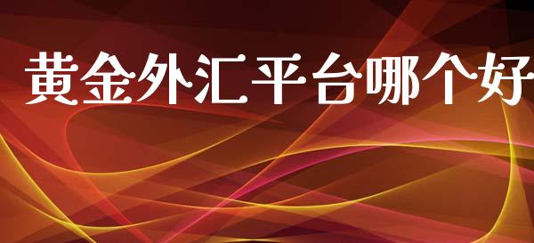黄金外汇平台哪个好_https://wap.hpmsj.cn_财经时评_第1张