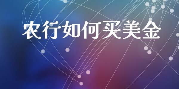 农行如何买美金_https://wap.hpmsj.cn_财经时评_第1张