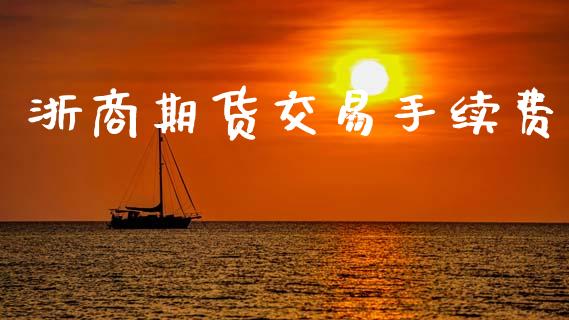 浙商期货交易手续费_https://wap.hpmsj.cn_基金分析_第1张